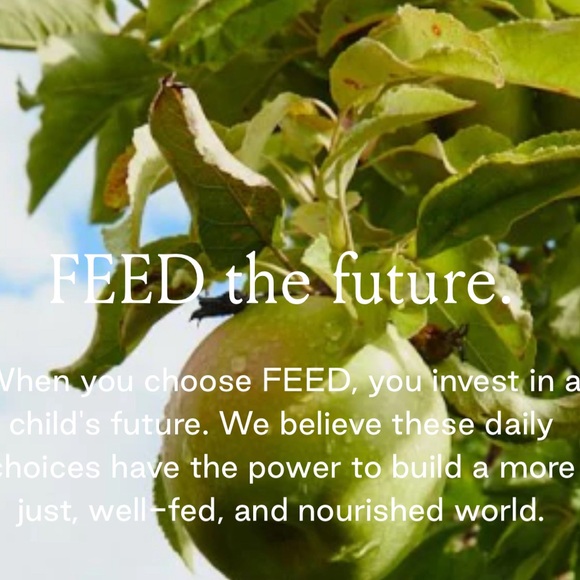 FEED Projects XL Market Structured Carry-All Organizer Tote Khaki Green NWT - Picture 14 of 16